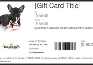 Pet Gift Certificate Template Services Frolick Dogs