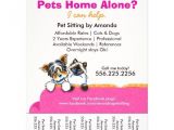 Pet Sitting Brochure Template Free Pet Sitter Ad Yorkie Cat Couch Pink Tear Sheet Flyers