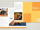 Pet Sitting Brochure Template Free Pet Sitting Brochure Template Featuring Bright Cheerful