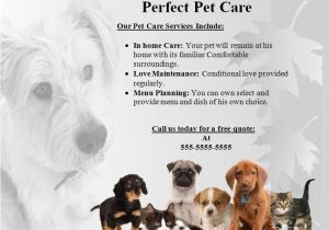 Pet Sitting Brochure Template Free Pet Sitting Flyer Template Www Imgkid Com the Image
