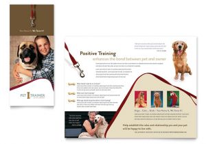 Pet Sitting Brochure Template Free Pet Training Dog Walking Brochure Template Word