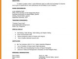 Philippine Blank Resume 6 Cv format Philippines theorynpractice