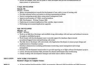 Pl Sql Fresher Resume format Sql Developer Resume Samples Velvet Jobs