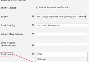 Plain Text Email Template Woocommerce Email Template Preview Shows In