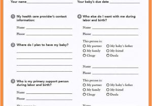 Planned C Section Birth Plan Template 10 11 Birth Plan Template Pdf and Pages Mactemplatescom