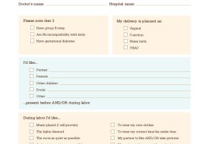 Planned C Section Birth Plan Template 9 Sample Birth Plans Sample Templates