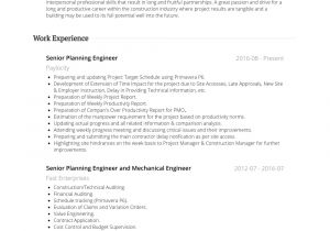 Planning Engineer Resume Free Real Professional Resume Samples Visualcv