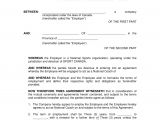 Player Coach Contract Template Basketball Player Contract Template