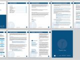 Plos One Word Template Proposal Template for Word One Piece