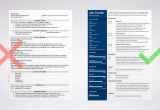 Plos One Word Template Resume Templates Word 15 Free Cv Resume formats to Download