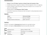 Plug In Resume Templates Simple Resume format Download In Ms Word 2007