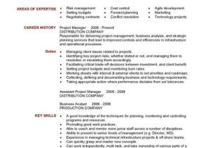 Pm Resume Template Project Manager Cv Template Construction Project