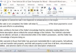 Point Of Sale Contract Template Free Vehicle Bill Of Sale Template for Word