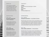 Polished Resume Templates Download Polished Resume Doc Template Perfect Resume format