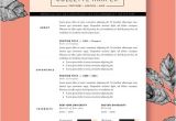 Polished Resume Templates Polished Resume Template and Cover Letter by