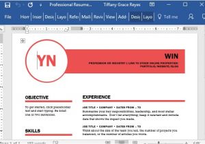 Polished Resume Templates Professional Resume Template for Word