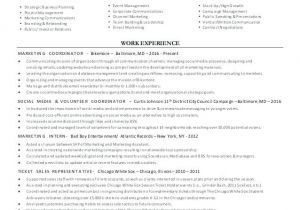 Political Campaign Manager Contract Template Download Political Campaign Manager Contract Template
