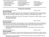 Political Campaign Resume Sample Campaign Manager Resume Sample Annecarolynbird