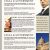 Political Newsletter Template Political Newsletter Template Best Business Template