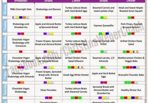 Portion Control Template 21 Day Fix Meal Spreadsheet Natural Buff Dog