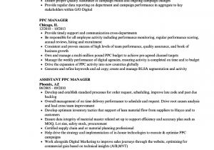 Ppc Resume Sample Ppc Manager Resume Samples Velvet Jobs