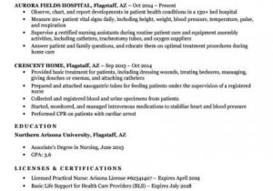 Pre Nursing Student Resume Examples Entry Level Nursing Student Resume Sample Tips
