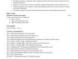 Pre Nursing Student Resume Examples Nursing School Resume Edit Fill Sign Online Handypdf
