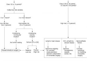 Preoperative Evaluation Template Preoperative Cardiac Risk assessment American Family