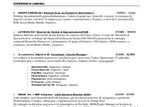 Preparacion De Resume Profesional Resume Omar Vigetti Espanol 2013