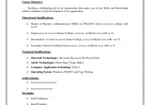 Printable Basic Resume Resume Examples Printable Downloadable Resume Template