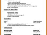 Printable Simple Resume format 7 Simple Professional Resume Template Professional