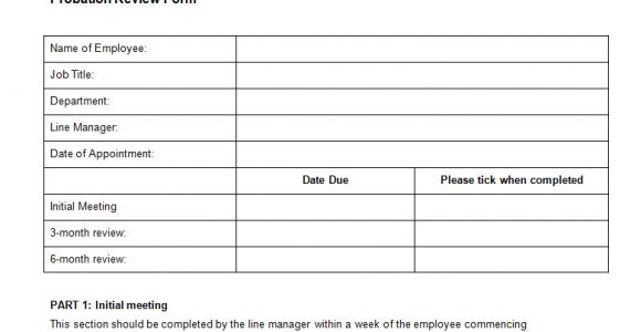 Probation Meeting Template Probation Review form Template Bizorb