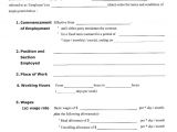 Probationary Employment Contract Template 23 Sample Employment Contract Templates Docs Word