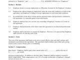 Probationary Employment Contract Template 90 Day Probationary Period Template Template Legal