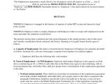 Probationary Employment Contract Template Sample Employment Contract