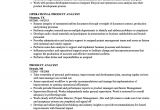 Product Analyst Resume Sample Product Analyst Resume Samples Velvet Jobs