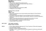 Product Analyst Resume Sample Product Data Analyst Resume Samples Velvet Jobs