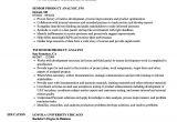 Product Analyst Resume Sample Senior Product Analyst Resume Samples Velvet Jobs