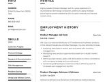 Product Manager Resume Sample 12 Product Manager Resume Sample S 2018 Free Downloads
