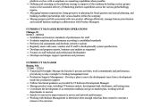 Product Manager Resume Sample It Product Manager Resume Samples Velvet Jobs