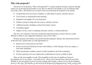 Professional Bid Proposal Template 6 Professional Proposal Template Procedure Template Sample