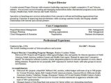 Professional Business Resume 70 Resume formats Pdf Doc Free Premium Templates
