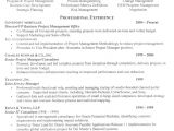 Professional Business Resume Business Resume Example Business Professional Resumes