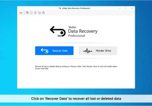 Professional Data Recovery Sd Card Stellar Data Recovery software Windows Professional Amazon