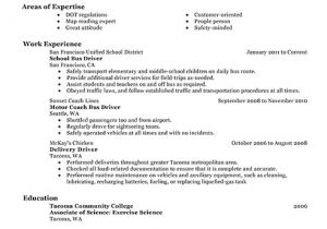 Professional Driver Resume Best Bus Driver Resume Example From Professional Resume