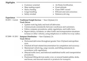 Professional Driver Resume Best Truck Driver Resume Example From Professional Resume