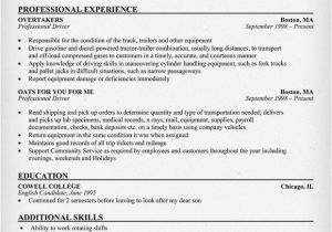 Professional Driver Resume Professional Driver Sample Resume Resume Ideas Pinterest
