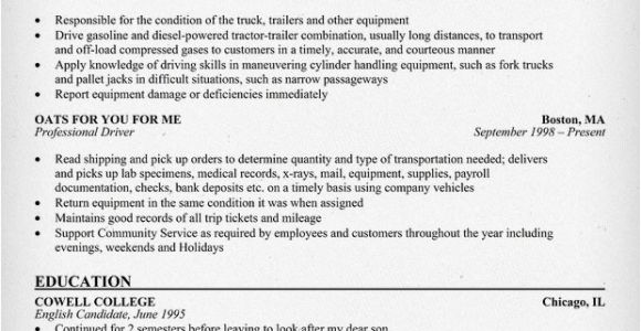 Professional Driver Resume Professional Driver Sample Resume Resume Ideas Pinterest