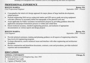 Professional Engineer Resume Resume Template Category Page 3 Efoza Com