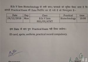 Professional Examination Board Bhopal Admit Card St Mary S P G College Vidisha